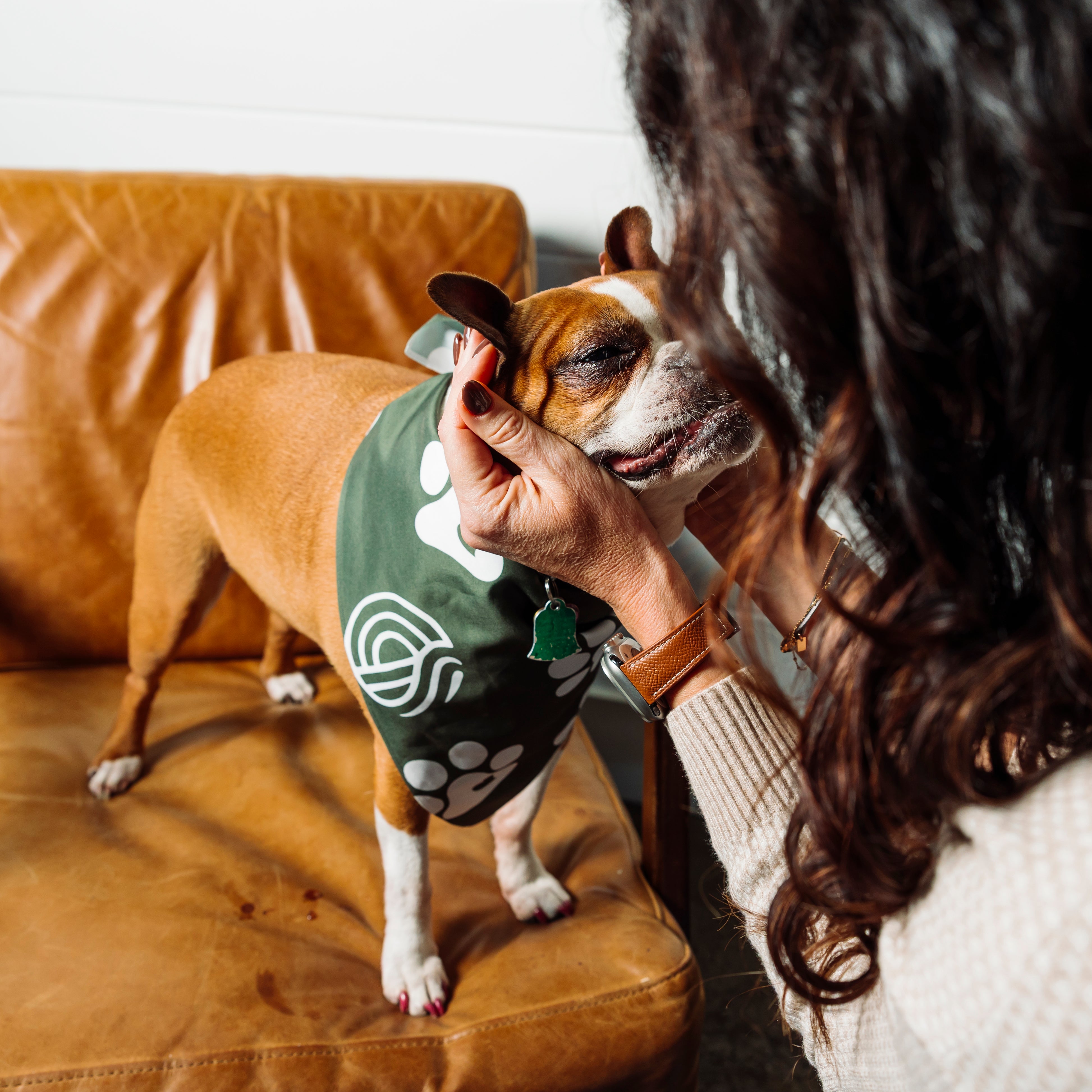 Pet Bandana