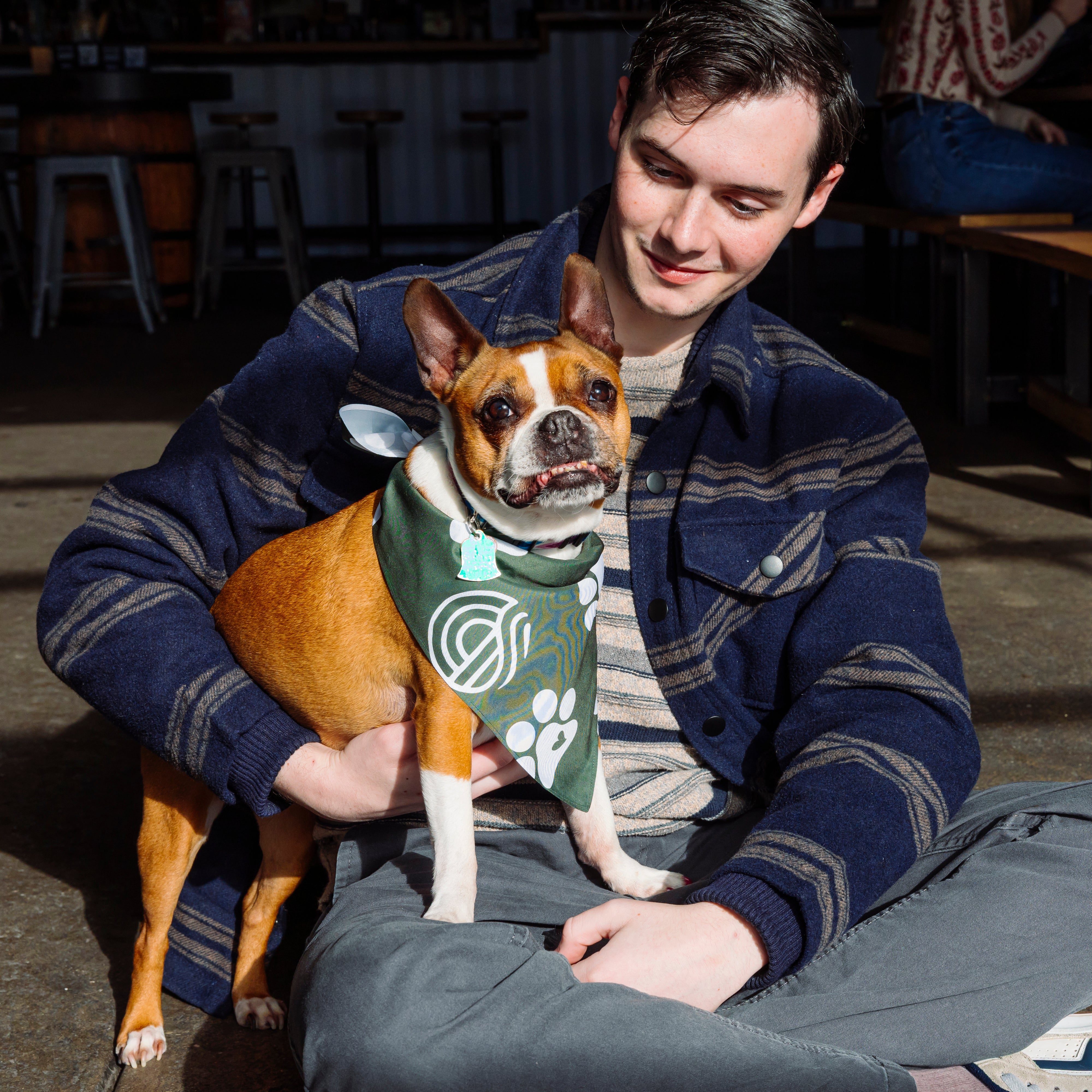 Pet Bandana
